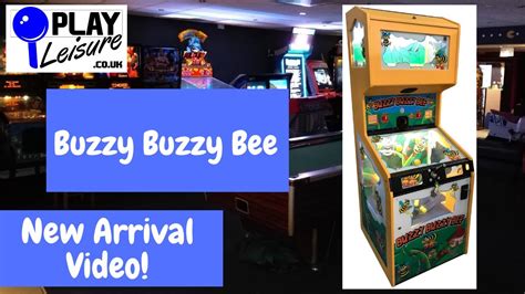 Queen Bee: An Arcade Fighter That Buzzes With Style!