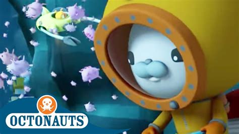 Octonauts: Explore the Deep Blue! Dive into Educational Fun and Underwater Adventures