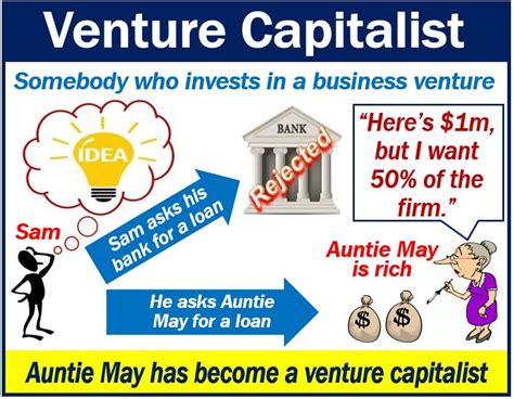 Vibrant Venture: Embrace Capitalism and Conquer the Business World!